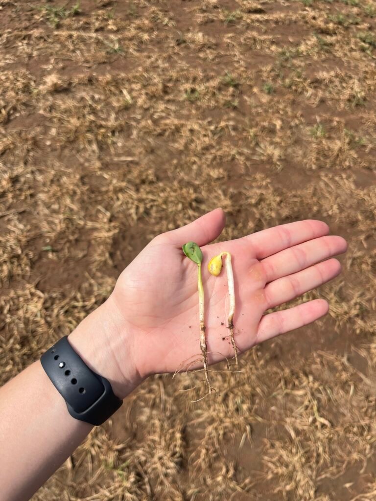 03B7BB63-A0B9-4345-B724-6DBE6D1CF03B