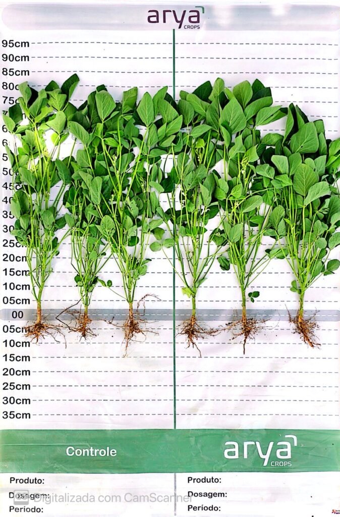 20240103_204913689_iOS