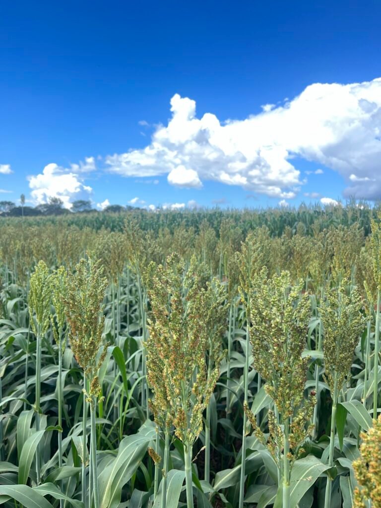 3F1B28E5-7828-4C94-9AA7-B6DFF37EF1C4