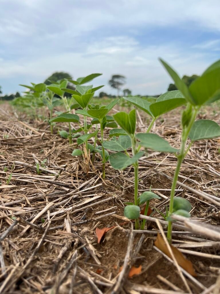 6FA6C7FA-5368-48AE-9A85-5729C6E1B9A5